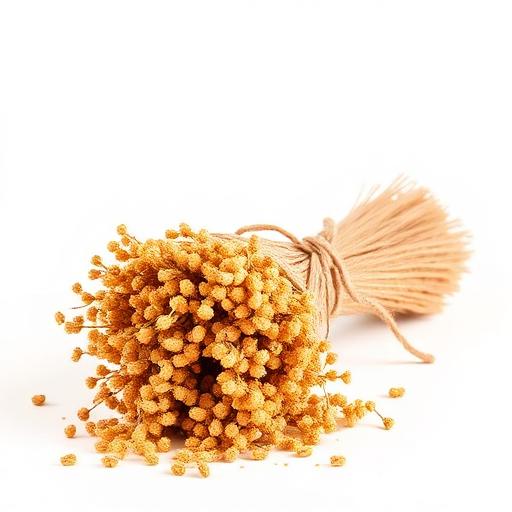 Vitakraft Millet Spray Treat