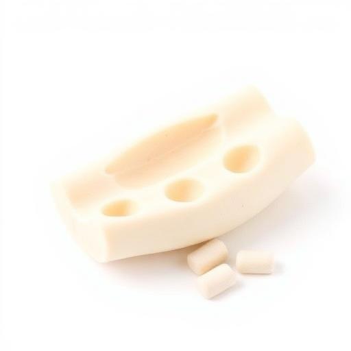 Kaytee Cuttlebone Calcium Supplement