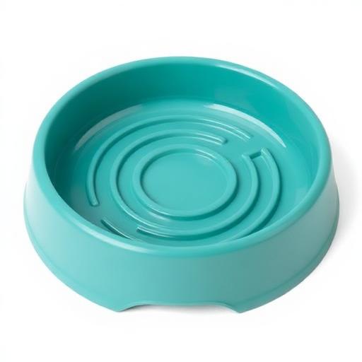 Outward Hound Fun Feeder Slo Bowl
