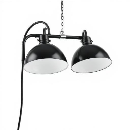 Living World Dual Dome Lamp Fixture